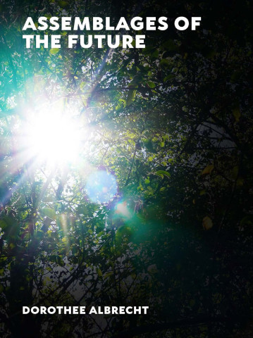 Dorothee Albrecht , Assemblages Of The Future