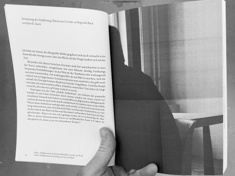 Peter K. Koch , Stabile Aufschreie