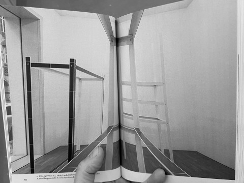 Peter K. Koch , Stabile Aufschreie